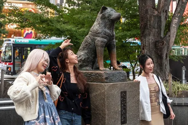 This photo taken on November 6, 2023 shows people posing for photos next to the statue of “Hachiko” in front of Shibuya station in central Tokyo, ahead of the 100th anniversary of the legendary dog's birth this month. A century since its birth, the tale of the loyal companion who had waited at the Shibuya train station for its master to come home – not knowing he had already died – continues to inspire the public, who have made the statue a singular landmark at a glitzy hub of Tokyo's street culture. (Photo by Richard A. Brooks/AFP Photo)