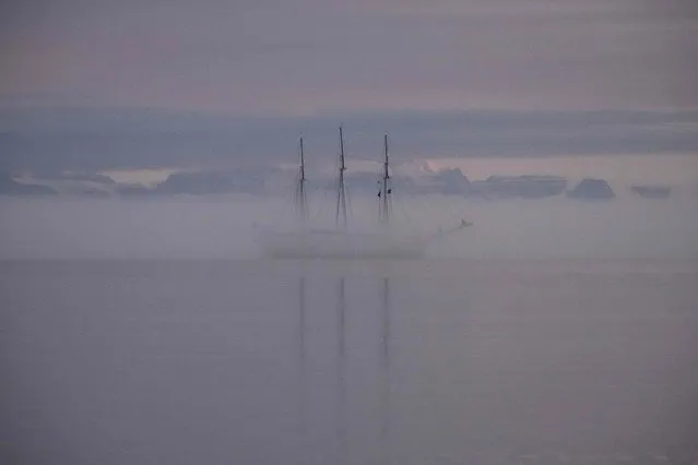The “Rembrandt van Rijn”, a three-masted schooner built in 1924 as a fishing lugger,  currently employed as a charter for Arctic cruises, sails through the fog in Scoresby Sound Fjord, near Ittoqqortoormiit, Eastern Greenland, on August 18, 2023. (Photo by Olivier Morin/AFP Photo)