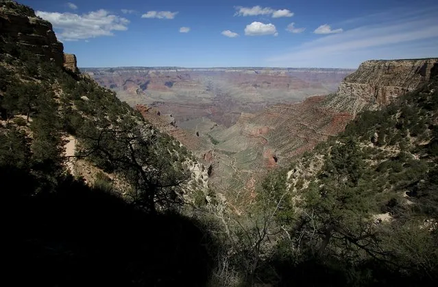 The Grand Canyon National Park in northern Arizona, April, 12, 2015. (Photo by Jim Urquhart/Reuters)