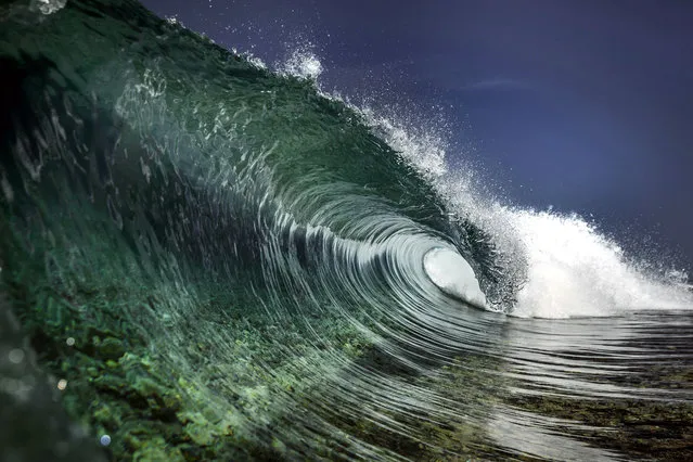 A shot of a wave crashing down into the ocean in the clear waters of Teahupoo. (Photo by Ben Thouard/Caters News)