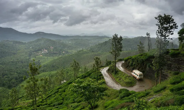 Monsoon meander, India. Munnar hill station in Kerala is a great place to be in the monsoon season, when amazing clouds and mists appear. (Photo by Mustafa Abdul Hadi/Smithsonian Photo Contest)
