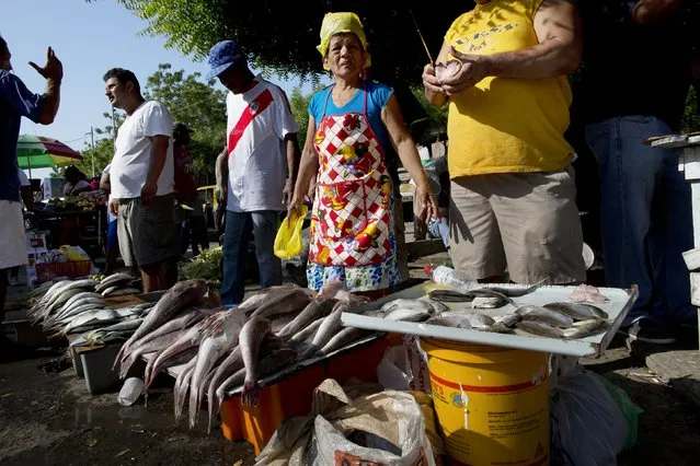 Vendors sell fish in a makeshift market, set up near the business district which was severely damaged by a 7.8-magnitude earthquake, in Manta, Ecuador, Wednesday, April 20, 2016. Businesses are slowly opening, although electricity and running water are still scarce in the Pacific coastal city. (Photo by Rodrigo Abd/AP Photo)