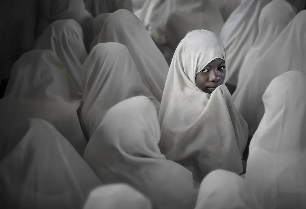2014 National Geographic Photo Contest, Week 10