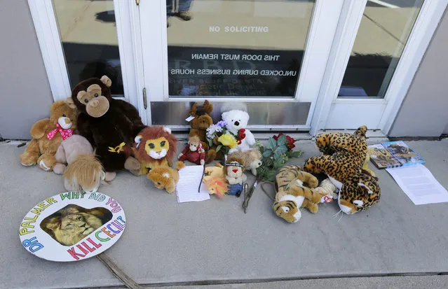 Stuffed animals and notes lie outside Dr. Walter James Palmer's dental office in Bloomington, Minn., Wednesday, July 29, 2015. (Photo by Ann Heisenfelt/AP Photo)