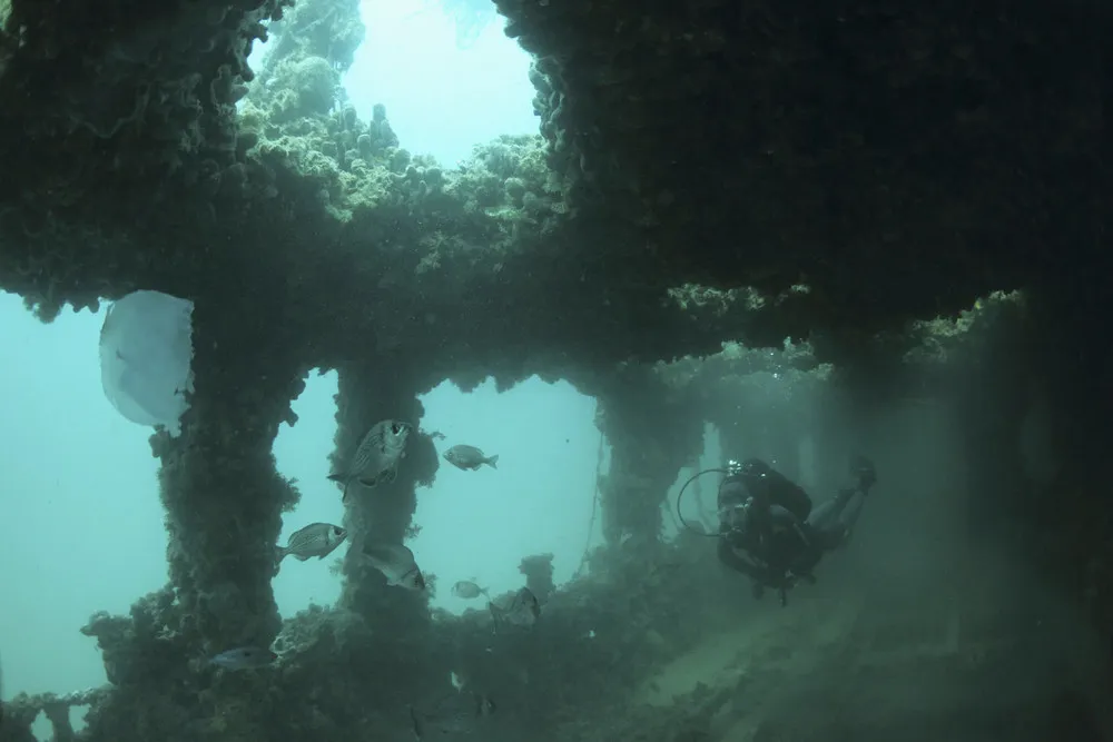 The Week in Pictures: June 21 – June 27, 2014. Part 1/5