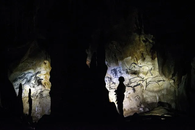 Chauvet cave curator Marie Bardisa looks at cave paintings in the cave, on June 13, 2014 in Vallon Pont d'Arc. France is submitting a request to have the Chauvet cave in Ardeche classified by the UNESCO world heritage committee as a “world heritage site”. (Photo by Jeff Pachoud/AFP Photo)