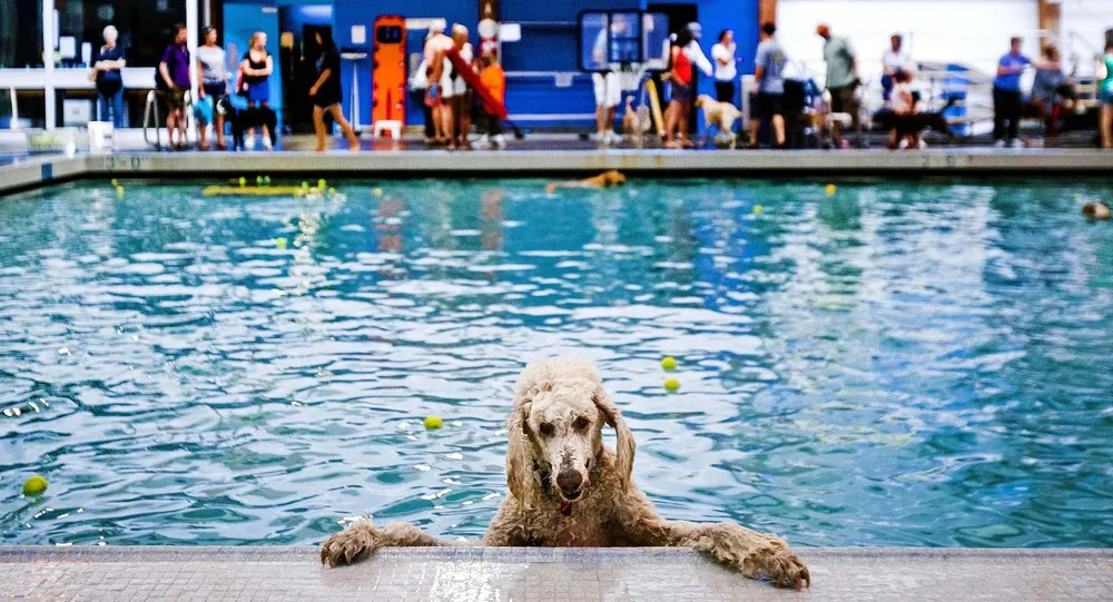 The Week in Pictures: Animals, August 16 – August 22, 2014