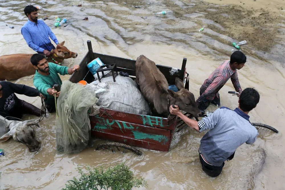 Floods in India and Pakistan