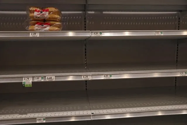 A package of sandwich buns sits on empty shelves, as Hurricane Ian spins toward the state carrying high winds, torrential rains and a powerful storm surge, at a grocery store in Tampa, Florida, U.S., September 27, 2022. (Photo by Shannon Stapleton/Reuters)