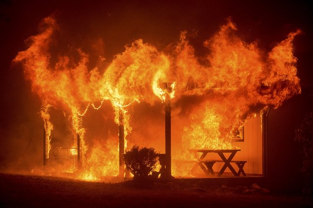 A house burns as the Butte fire rages through Mountain Ranch, California September 11, 2015. Evacuation orders were expanded to thousands of homes in northern California's Sierras on Friday as the rapidly spreading wildfire roared for a third day through drought-parched timber and brush, threatening mountain communities. (Photo by Noah Berger/Reuters)