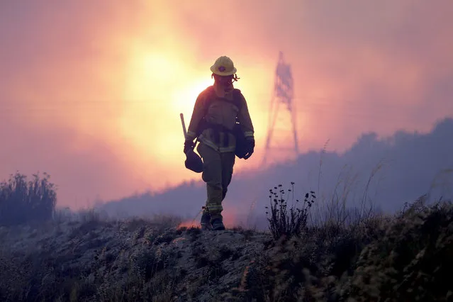 A firefighter keeps an eye on the Blue Cut fire line, north of Los Angeles, California, USA, 16 August 2016. According to reports, the fast-moving blaze, consuming some 9,000 acres, prompted the mandatory evacuation of the whole community of Wrightwood. (Photo by Paul Buck/EPA)