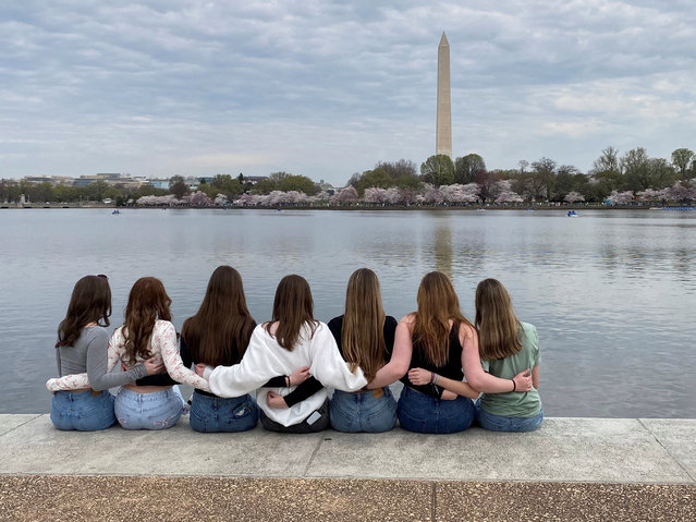 Tourists sit on the edge of the Tidal basin near the Jefferson Memorial as visitors witness the cherry blossoms at peak bloom in Washington, on March 28, 2025. (Photo by Will Dunham/Reuters)