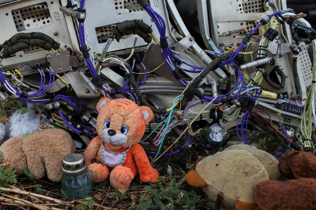 A teddy bear is placed next to wreckage at the site of the downed Malaysia Airlines flight MH17, near the village of Hrabove (Grabovo) in Donetsk region, eastern Ukraine September 9, 2014. (Photo by Marko Djurica/Reuters)