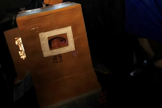 A child takes cover inside a cardboard box, during the “Beehive Firecrackers” festival at the Yanshui district in Tainan, Taiwan on March 1, 2018. (Photo by Tyrone Siu/Reuters)