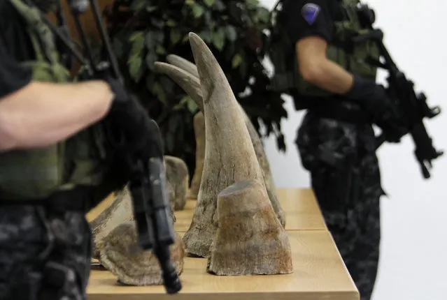 Police officers stand guard next to a part of a shipment of 24 rhino horns seized by the Customs Administration of the Czech Republic during a news conference in Prague July 23, 2013. (Photo by David W. Cerny/Reuters)