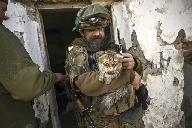 An Ukrainian serviceman caresses a cat near Bachmut, on March 23, 2023,  amid the Russian invasion of Ukraine. (Photo by Aris Messinis/AFP Photo)