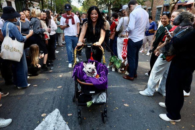 People and dogs take part in the Annual Tompkins Square Halloween Dog Parade in New York City, U.S., October 19, 2025. (Photo by Kevin Coombs/Reuters)
