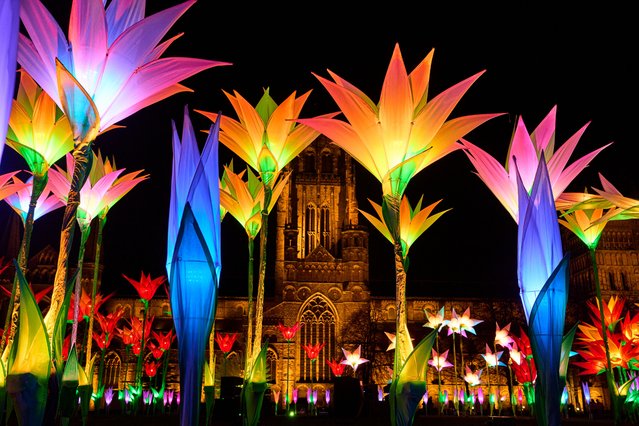 Elysium Garden, by the art company Jigantics, outside Durham Cathedral in Durham, UK on November 13, 2025, one of the light works on display at the ninth and final edition of the Lumiere festival running from 13 to 15 November. (Photo by Christopher Thomond/The Guardian)