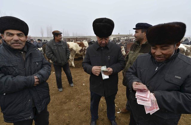 Herders counts yuan banknotes at a livestock trading market in Yanqi Hui Autonomous County, Xinjiang Uighur Autonomous Region, China, November 29, 2015. (Photo by Reuters/China Daily)