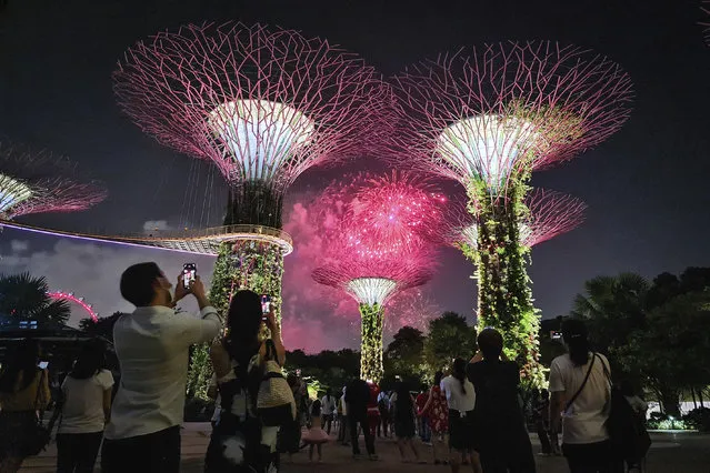 People at the Gardens by the Bay's Supertree Grove, taking photographs of the fireworks display which was part of National Day Parade, 9 August 2020. (Photo by Singapore Press via AP Images)
