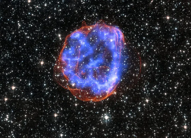 An expanding shell of debris called SNR 0519-69.0 is left behind after a massive star exploded in the Large Magellanic Cloud, a satellite galaxy to the Milky Way. Multimillion degree gas is seen in X-rays from Chandra, in blue. The outer edge of the explosion (red) and stars in the field of view are seen in visible light from the Hubble Space Telescope. Image released January 23, 2015. (Photo by Reuters/NASA/CXC/SAO)