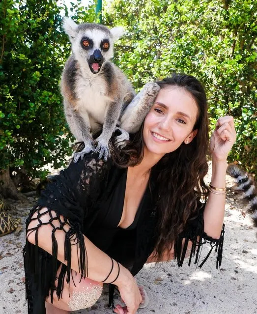 Canadian actress Nina Dobrev bonds with a lemur in the last decade of May 2023. (Photo by nina/Instagram)