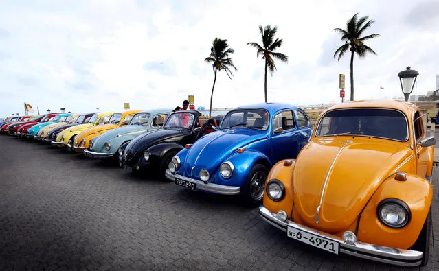 Classic and custom-built Volkswagen cars in Sri Lanka since the early 1950s gather in celebration of the World Volkswagen Day at Hotel Galle Face in Colombo, Sri Lanka, 01 July 2018. A Sri Lankan VW Beetle owners’ club organized the rally. The Volkswagen Beetle has been a popular car in the island since the early 1950s and even now there are many which have been single owned or passed down to the second generation. (Photo by  M.A. Pushpa Kumara/EPA/EFE)