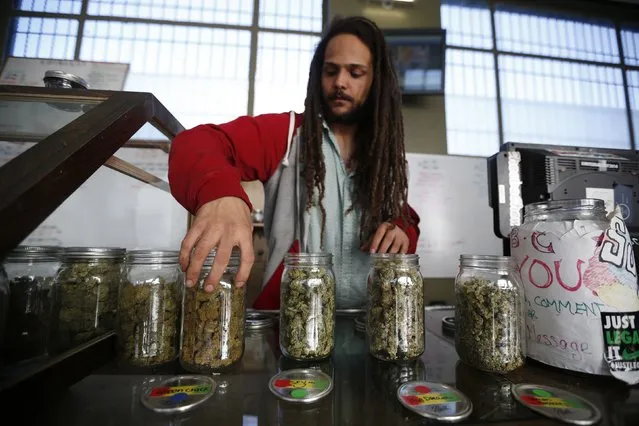 Volunteer Charlie Kirchheimer, 25, displays jars of dried cannabis buds at the La Brea Collective medical marijuana dispensary in Los Angeles, California, March 18, 2014. (Photo by Lucy Nicholson/Reuters)