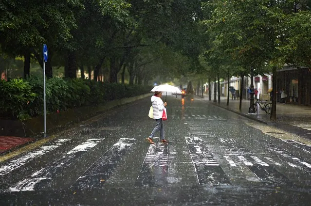 A person walks across a pedestrian crossing during heavy rain in Pamplona, northern Spain, Saturday, September 2, 2023. Authorities have announced exceptional rainfall for the next few days across the country. (Photo by Alvaro Barrientos/AP Photo)