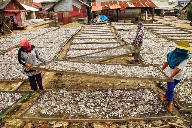Workers drying anchovies at a fishing village in Lhokseumawe, Aceh on June 7, 2021, as marine life in tropical waters declines when annual average sea temperature rises above 20 to 25 degree, a study found as researchers fear a drop of about 1,500 species at the Equator. (Photo by Azwar Ipank/AFP Photo)