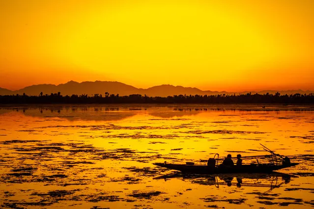 Fishermen resting in their Shikara boat are silhouetted against the setting sun Shikara at the Dal lake on May 03, 2016 Srinagar, the summer capital of Indian administered Kashmir, India. Kashmir the Muslim majority state , is known as the “Paradise on Earth” and has for centuries captured the imagination of many writers, poets and film makers and is integral to the tourist trade. Kashmir has been a contested land between nuclear neighbors India and Pakistan since 1947, the year both the countries attained freedom from the British rule. (Photo by Yawar Nazir/Getty Images)