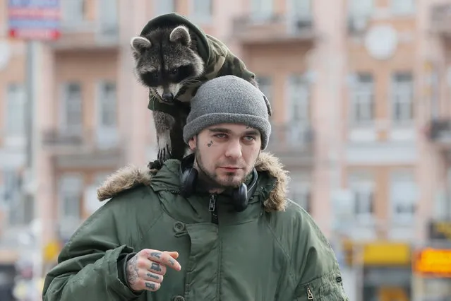 A man walks with a racoon on his shoulders in central Kiev, Ukraine January 5, 2017. (Photo by Valentyn Ogirenko/Reuters)