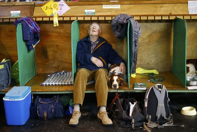 A man sleeps besides his Welsh Springer Spaniel during the second day of the Crufts Dog Show in Birmingham, Britain March 11, 2016. (Photo by Darren Staples/Reuters)