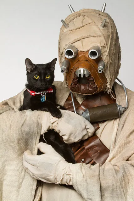A Tusken Raider with a cat. (Photo by Rohit Saxena/Caters News)