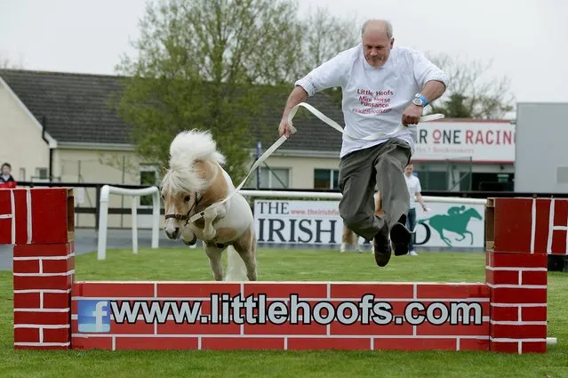 Hugh Deegan clears the wall with Sun Prince during a demonstration of Falabella horses at Fairyhouse Racing, on April 20, 2014. (Photo by Morgan Treacy/Inpho Sports Photography Ireland)