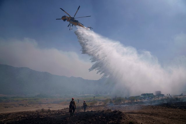 Water is dropped by helicopter as crews fight the Post Fire, Sunday, June 16, 2024, in Lebec, Calif. (Photo by Eric Thayer/AP Photo)