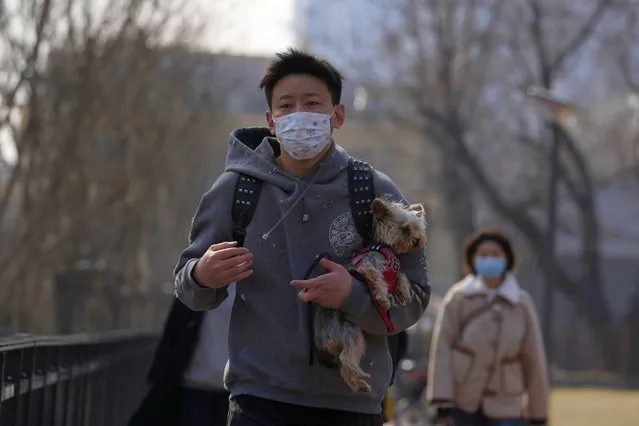 A man wearing a mask carries a dog wearing a jersey on the street on Sunday, March 20, 2022, in Beijing. China's health authorities reported two COVID-19 deaths on Saturday, the first since January 2021, as the country battles its worst outbreak in two years driven by a surge in the highly transmissible omicron variant. (Photo by Ng Han Guan/AP Photo)