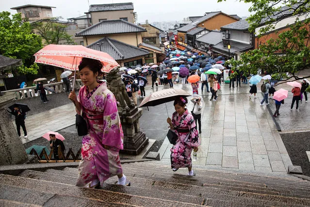 Tourists dressed in yukatas, a light, unlined, summer kimono made of cotton instead of the traditional silk, climb steps to visit a temple on April 27, 2016 in Kyoto, Japan. Now the seventh largest city in Japan, Kyoto was once the Imperial capital for more than one thousand years, it is now the capital city of Kyoto Prefecture and a major part of the Kyoto-Osaka-Kobe metropolitan area. (Photo by Carl Court/Getty Images)