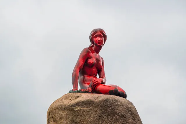 The Little Mermaid statue is seen painted in red in what local authorities say is an act of vandalism, in Copenhagen, Denmark May 30, 2017. (Photo by Ida Marie Odgaard/Reuters/NTB Scanpix Denmark)