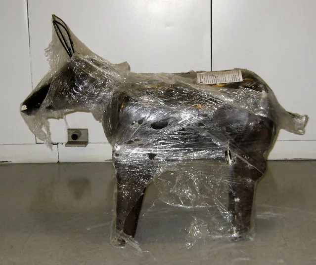 One of 200 cement yard statues shaped like a donkey is shown on display in this handout image provided by the U.S. Immigration and Customs Enforcement agency and released to Reuters February 4, 2009. Law enforcement agents seized 1800 pounds of marijuana valued at $1.5 million that had been hidden in the 200 statues in the cities of Fontana, California and Sun Valley, California. (Photo by Reuters/U.S. Immigration and Customs Enforcement)