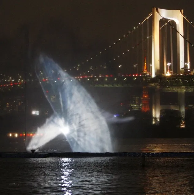 Japan Odaiba Water Illumination