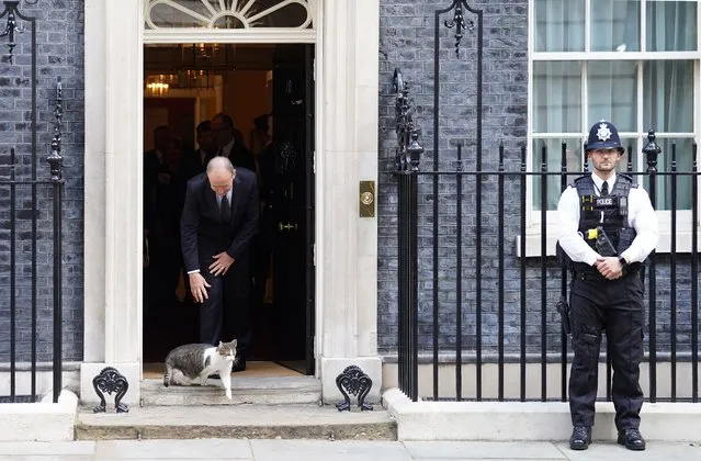 Irish Taoiseach Micheal Martin tries to stroke Larry the cat as he leaves 10 Downing Street in London, following a bilateral meeting with Prime Minister Liz Truss on Sunday, September 18, 2022. (Photo by Stefan Rousseau/PA Images via Getty Images)