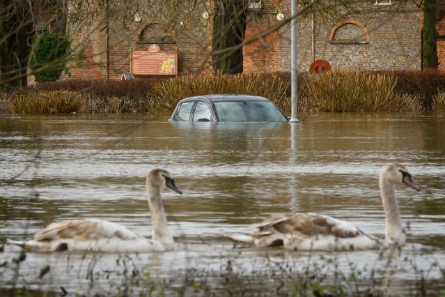 Swans swim past a submerged car in a car park after heavy rains and sewer system overflows caused the River Thames to break its banks, on January 05, 2024 in Wallingford, United Kingdom. Days of heavy rainfall have exacerbated conditions in already saturated areas in the wake of Storm Henk, which caused widespread damage across parts of the UK, with winds of more than 90mph sweeping across some regions. (Photo by Leon Neal/Getty Images)