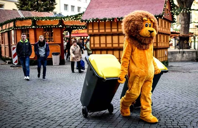 Mascot “Leo” of Braunschweig's city cleaning day event pulls two rubbish bins at the christmas market in Braunschweig, central Germany, on November 27, 2014. Visitors of the christmas market can change plastic bags to multi-use bags at the mascot. (Photo by Ole Spata/AFP Photo/DPA)