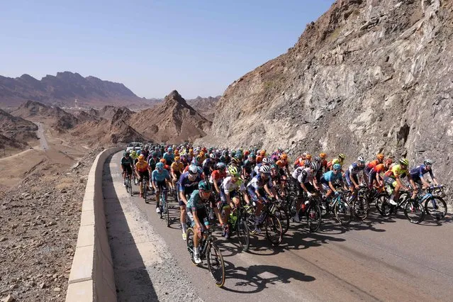 The pack rides during the first stage of the 2023 Tour of Oman, from Al-Rustaq Fort to Oman Convention and Exhibition Center, on February 11, 2023. (Photo by Thomas Samson/AFP Photo)