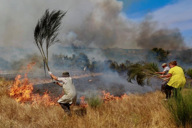 People try to extiguish the flames of a burning area during a forest fire in Sao Pedro e Santa Maria, Trancoso, Portugal, 10 August 2025. The fire in Trancoso has reignited and mobilised eight aircraft and more than 300 firefighters after having been contained early this morning. (Photo by Miguel Pereira Da Silva/EPA)