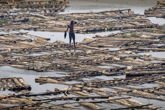 A man walks across rafts of wood to be used for timber in Lagos, Nigeria Thursday, February 23, 2023. On Feb. 25, voters will choose among 18 candidates in a first-round vote to succeed incumbent President Muhammadu Buhari, but despite being Africa's largest economy and and one of its top oil producers, Nigeria is in economic crisis. (Photo by Ben Curtis/AP Photo)