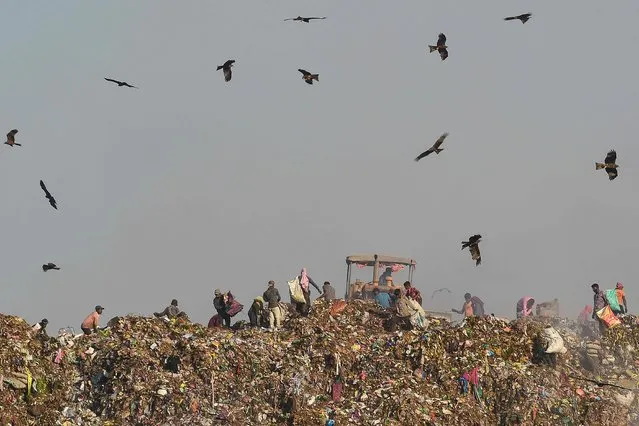 Ragpickers scout for re-usable materials at Pirana landfill on the outskirts of Ahmedabad on February 20, 2023. (Photo by Sam Panthaky/AFP Photo)