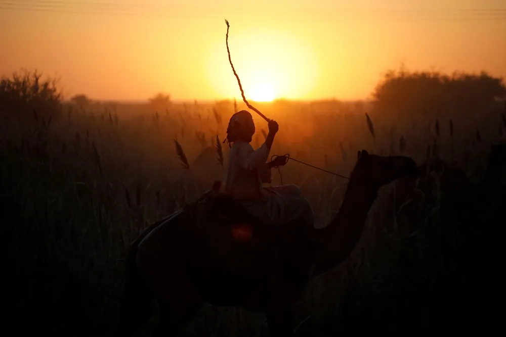 A Look at Life in Africa, Part 2/2