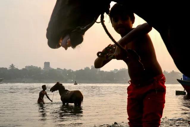 Man bathes a horse in the Buriganga river in Dhaka, Bangladesh, December 15, 2020. (Photo by Mohammad Ponir Hossain/Reuters)